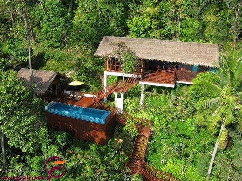 زیوولا فی فی