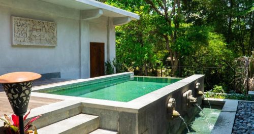 آدیوانا کامانیا