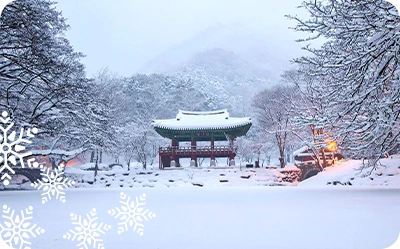 تور ژاپن زمستان