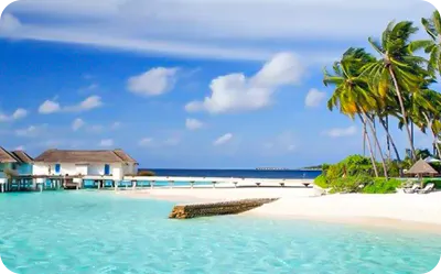 تور مالدیو نوروز