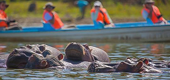 هتل 4 ستاره نایواشا